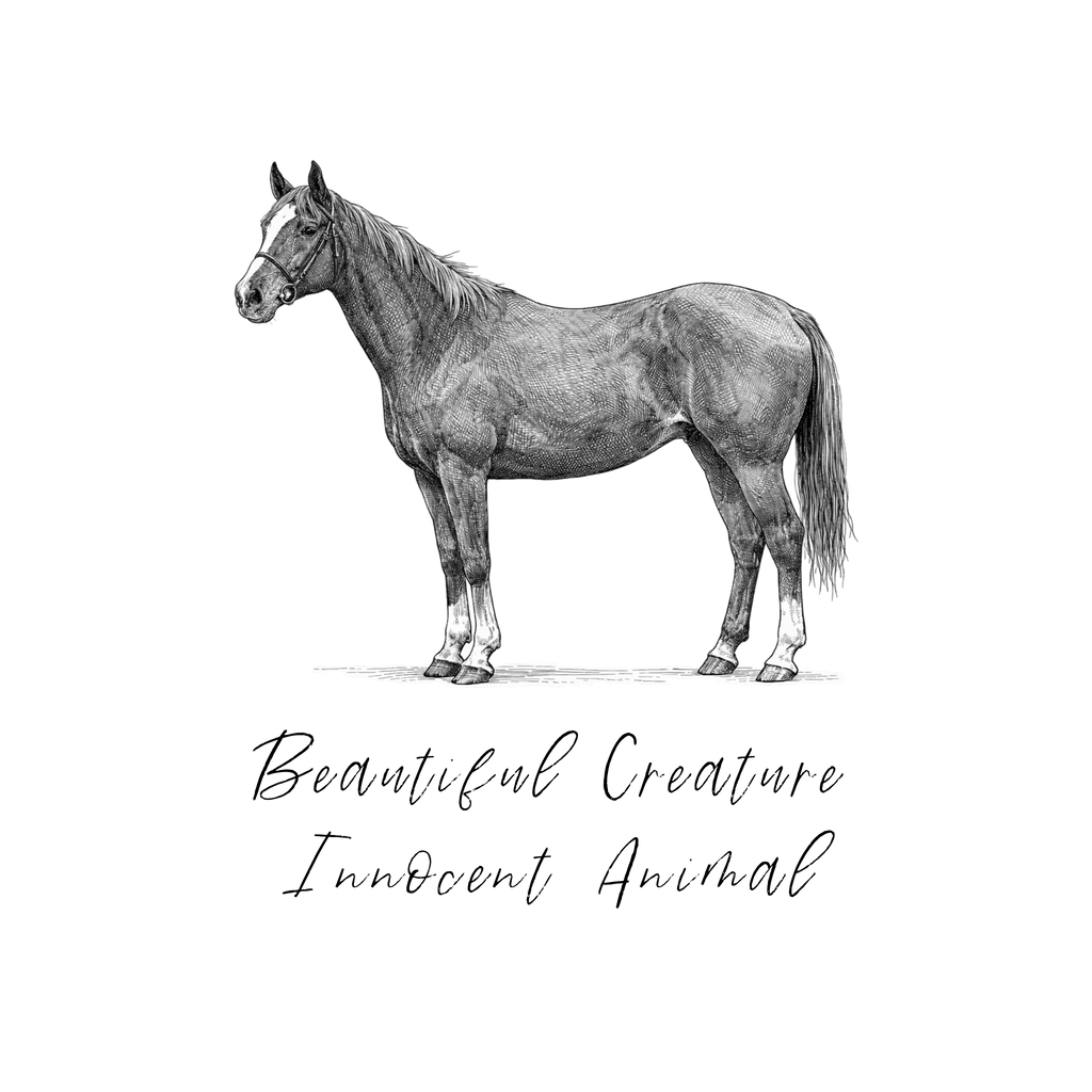 Beautiful Creature, Innocent Animal