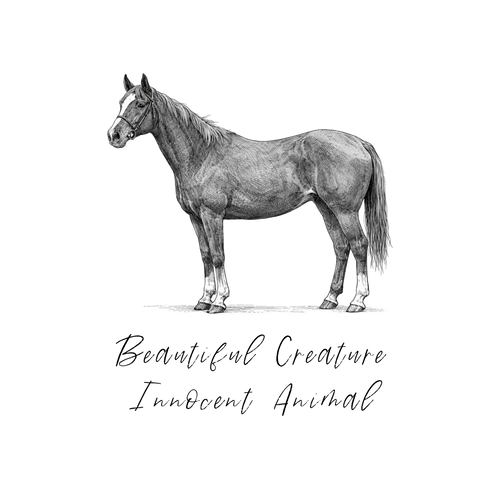 Beautiful Creature, Innocent Animal