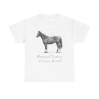 Beautiful Creature, Innocent Animal